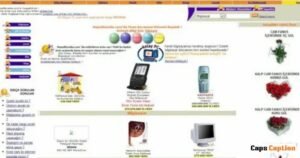 Strengths and Limitations of Brumeblog Com