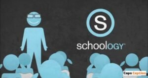 What Is Schoology Alfa?